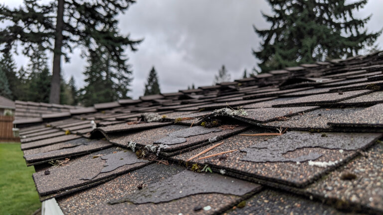 What Should You Do When Your Roof is Leaking in Seattle?